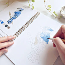 eBirds watercolor workbook
