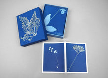 Chronicle Books - Sunprint Notecards