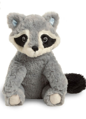 Chasing Dreams Racoon