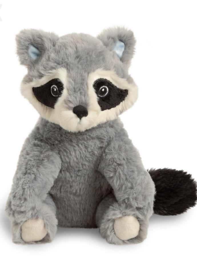 Chasing Dreams Racoon