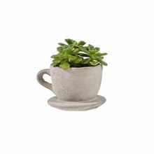 Vagabond Vintage - Concrete "Tea & Coffee" Cup Planter