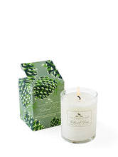 S&P Roland Pine Votive Soy Candle