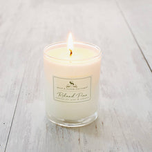 S&P Roland Pine Votive Soy Candle