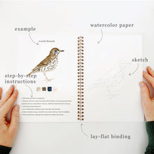 eBirds watercolor workbook