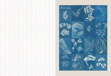 Chronicle Books - Collage Compendium