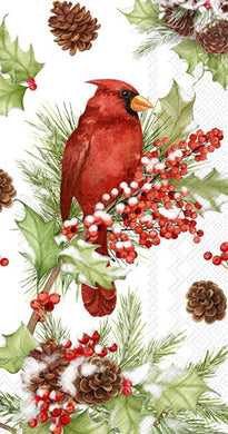 Pk/16 Cardinals In Holly Christmas