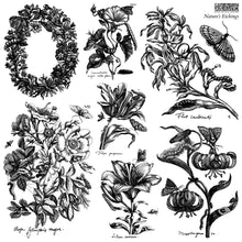 Nature's Etchings 12" × 12" Decor Stamp™