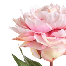 Napa Home & Garden - Mini Peony Potted 6.5" Light Pink: Light Pink / POLYESTER,  PLASTIC,  POLYFOAM,  WIRE