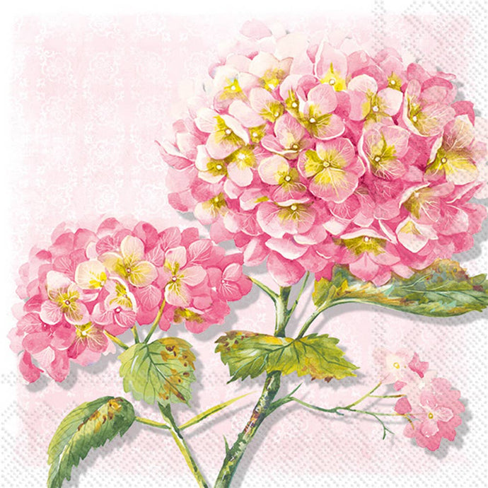Paper Cocktail Napkin 20 Ct Lorea Rose