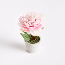 Napa Home & Garden - Mini Peony Potted 6.5" Light Pink: Light Pink / POLYESTER,  PLASTIC,  POLYFOAM,  WIRE