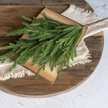 Ragon House - 18" SOFT TOUCH NORFOLK PINE PICK