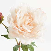 Napa Home & Garden - Peony Stem 21", Light Pink: Light Coral