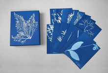 Chronicle Books - Sunprint Notecards