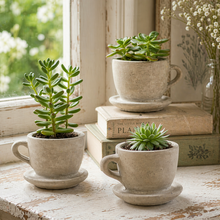 Vagabond Vintage - Concrete "Tea & Coffee" Cup Planter