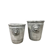 Vagabond Vintage - Cement Lion Planter: Medium