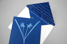 Chronicle Books - Sunprint Notecards