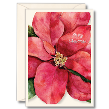 Poinsettia II