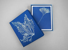 Chronicle Books - Sunprint Notecards
