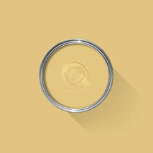 Ciara Yellow No. 73 (ARCHIVED)