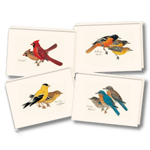 Peterson Bird Assortment