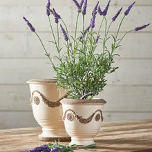 Napa Home & Garden - French Lavender Drop-In 18"