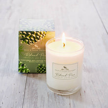 S&P Roland Pine Votive Soy Candle