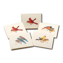 Peterson Bird Assortment