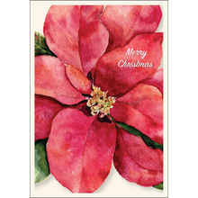 Poinsettia II
