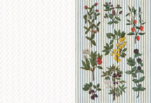 Chronicle Books - Collage Compendium