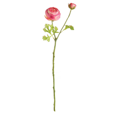 Napa Home & Garden - Ranunculus Stem 21
