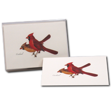 Cardinal Notecard Set, Illustrated by Roger Tory Peterson