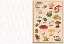 Chronicle Books - Collage Compendium