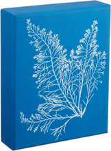 Chronicle Books - Sunprint Notecards