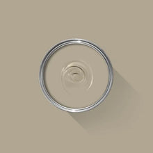 Light Gray No. 17