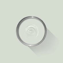 Pale Powder No. 204