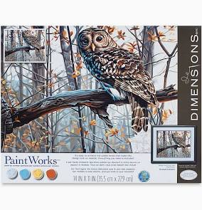 Paint by Numbers-Wise Owl