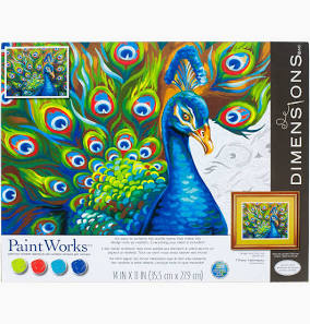 Paint by Numbers-Wild Feathers