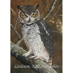 Earth Sky + Water - Great Horned Owl