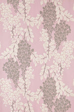 Wisteria