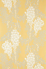 Wisteria