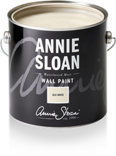 Old White Wall Paint