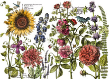 Botanist's Journal  Decor Transfer™ Four 12" x 16" Sheets