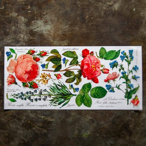 A Makers' Studio - Flowers-Garden Rose-Color Transfer- 24"x11"