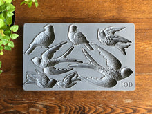 Birdsong IOD 6×10 Decor Moulds™
