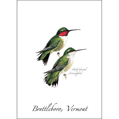Earth Sky + Water - Ruby-throated Hummingbird