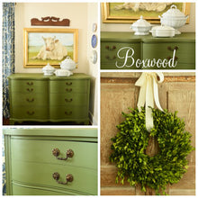 Boxwood