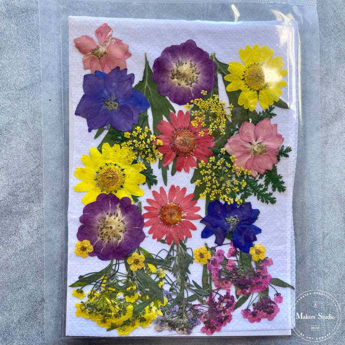 A Makers' Studio - Blue & Yellow Multi Dried Flowers