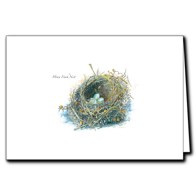 Earth Sky + Water - House Finch Nest