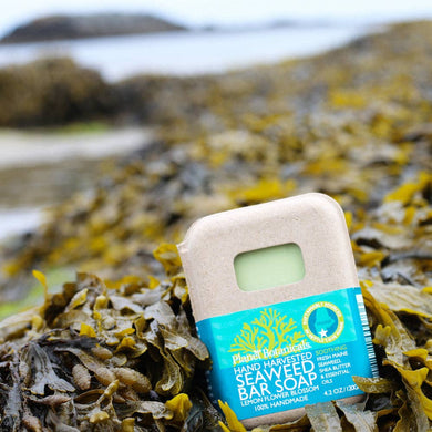 Planet Botanicals - Seaweed Bar Soap