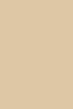Double Cream No. 9907 (ARCHIVED)